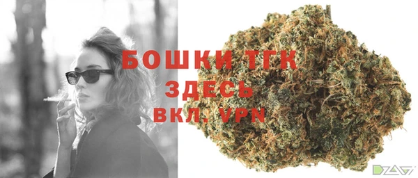 прущий лед Корсаков
